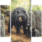 Northwoods Springtime - Black Bears Acrylic Wall Art & Home Decor