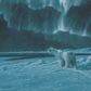 Polar Night Light Polar Bears Acrylic Wall Art & Home Decor
