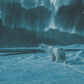 Polar Night Light Polar Bears Acrylic Wall Art & Home Decor