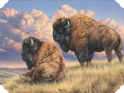 Prairie Monarchs - Bison Acrylic Wall Art & Home Decor