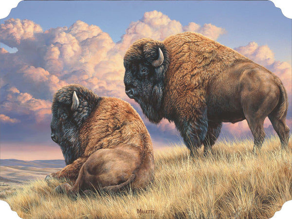 Prairie Monarchs - Bison Acrylic Wall Art & Home Decor