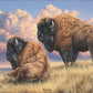 Prairie Monarchs - Bison Acrylic Wall Art & Home Decor