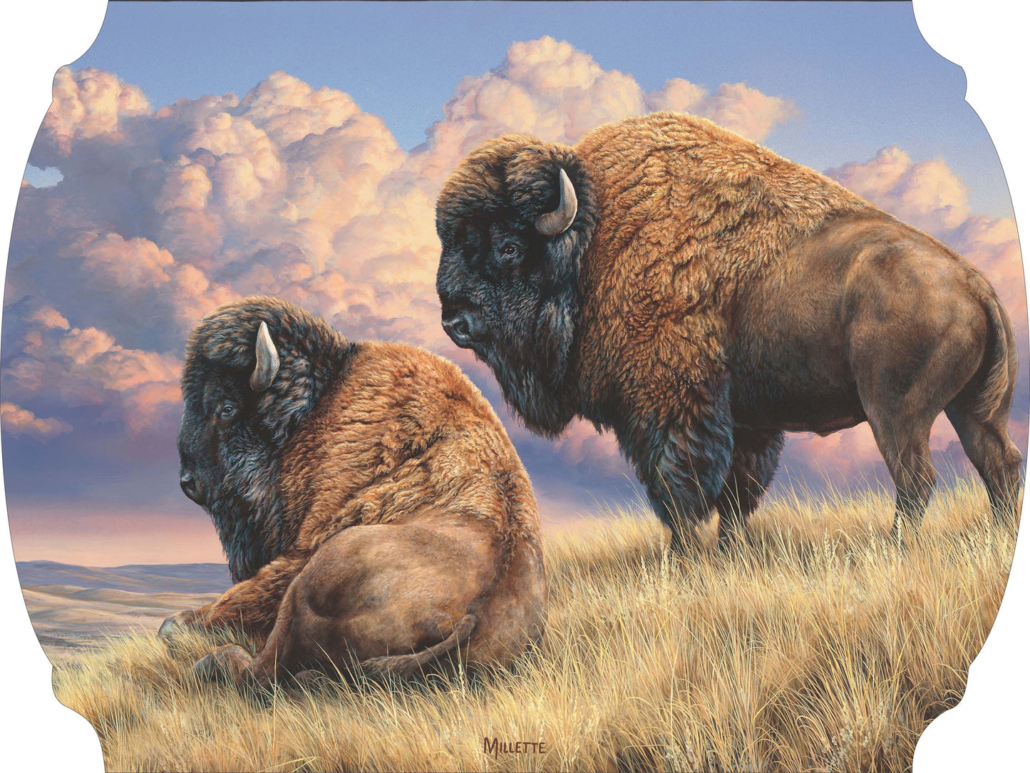 Prairie Monarchs - Bison Acrylic Wall Art & Home Decor