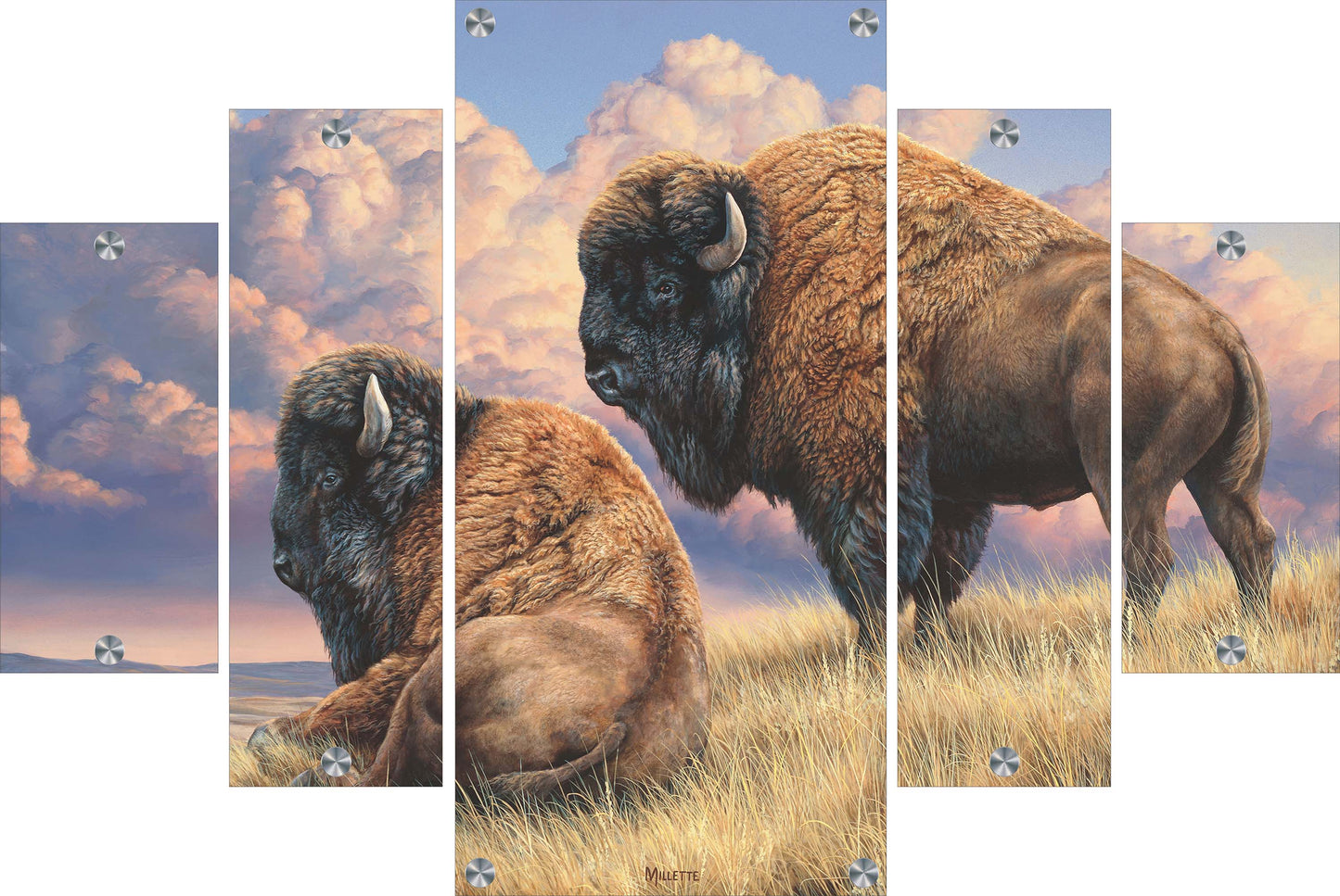 Prairie Monarchs - Bison Acrylic Wall Art & Home Decor