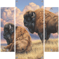 Prairie Monarchs - Bison Acrylic Wall Art & Home Decor