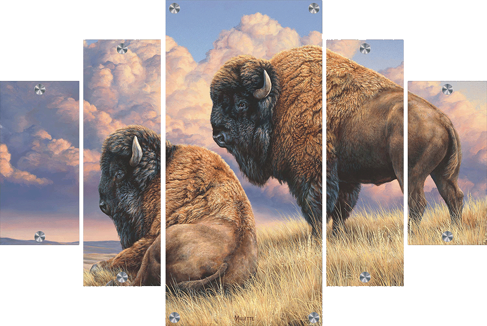 Prairie Monarchs - Bison Acrylic Wall Art & Home Decor