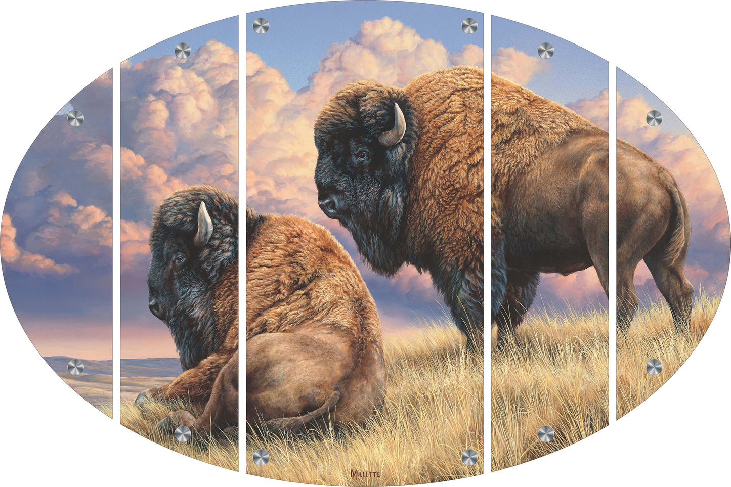Prairie Monarchs - Bison Acrylic Wall Art & Home Decor