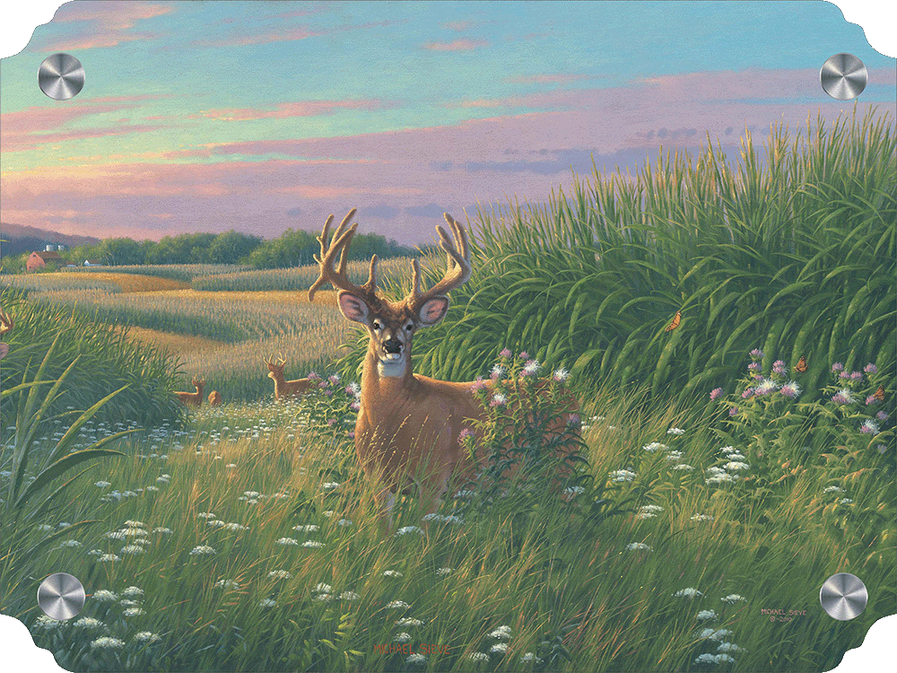 Red Velvet - Whitetail Deer Acrylic Wall Art & Home Decor