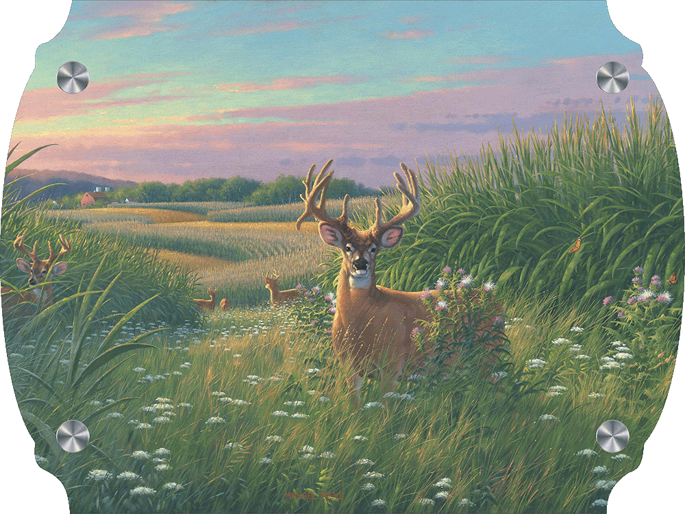 Red Velvet - Whitetail Deer Acrylic Wall Art & Home Decor