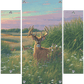 Red Velvet - Whitetail Deer Acrylic Wall Art & Home Decor
