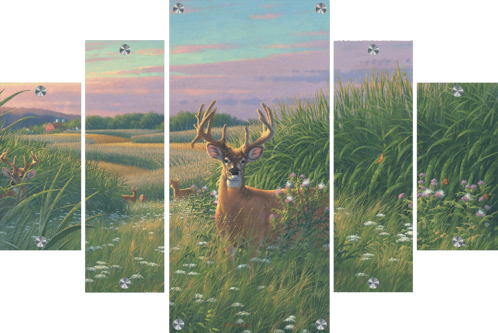 Red Velvet - Whitetail Deer Acrylic Wall Art & Home Decor