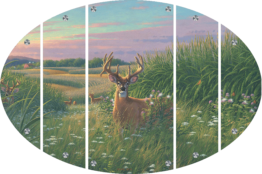 Red Velvet - Whitetail Deer Acrylic Wall Art & Home Decor