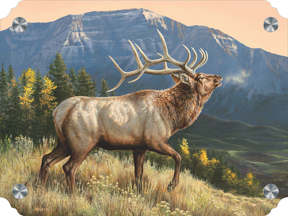 RidgeLine - Elk Acrylic Wall Art & Home Decor