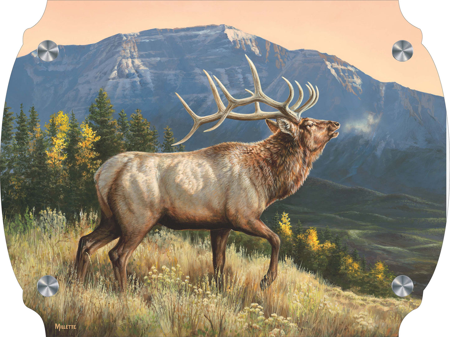 RidgeLine - Elk Acrylic Wall Art & Home Decor