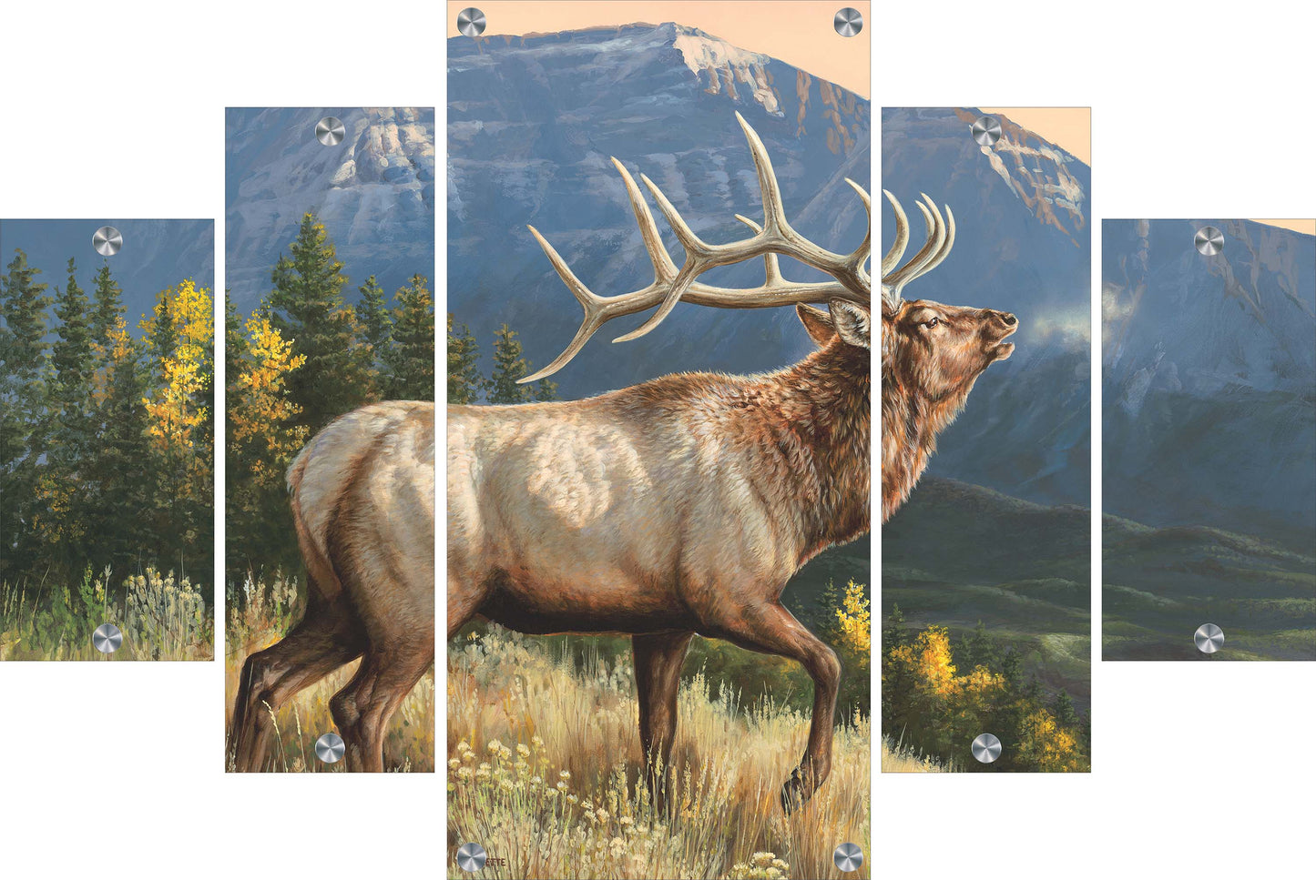 RidgeLine - Elk Acrylic Wall Art & Home Decor
