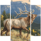RidgeLine - Elk Acrylic Wall Art & Home Decor