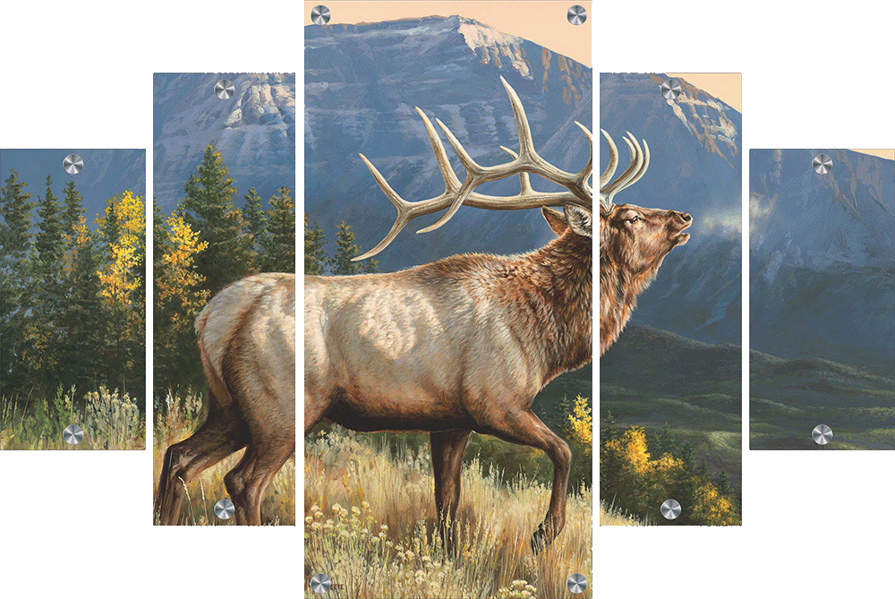 RidgeLine - Elk Acrylic Wall Art & Home Decor