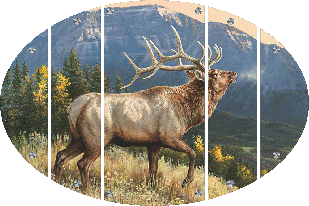 RidgeLine - Elk Acrylic Wall Art & Home Decor