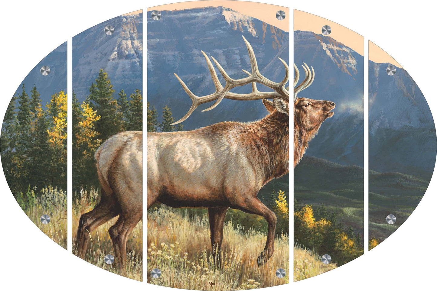 RidgeLine - Elk Acrylic Wall Art & Home Decor