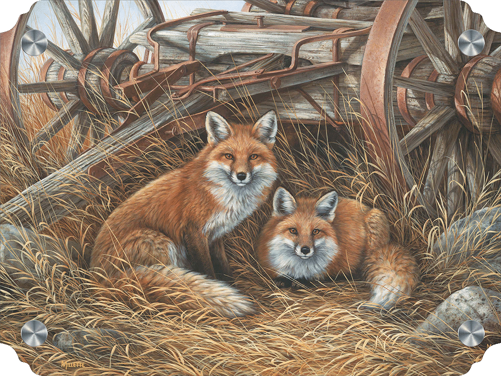 Rustic Retreat - Fox Acrylic Wall Art & Home Decor
