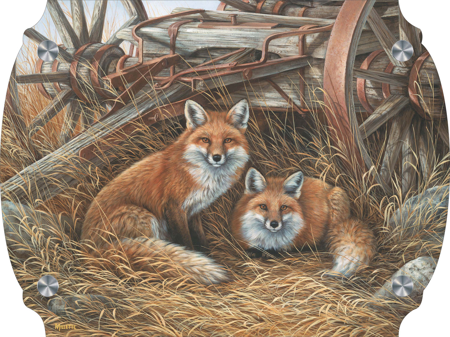 Rustic Retreat - Fox Acrylic Wall Art & Home Decor