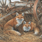 Rustic Retreat - Fox Acrylic Wall Art & Home Decor