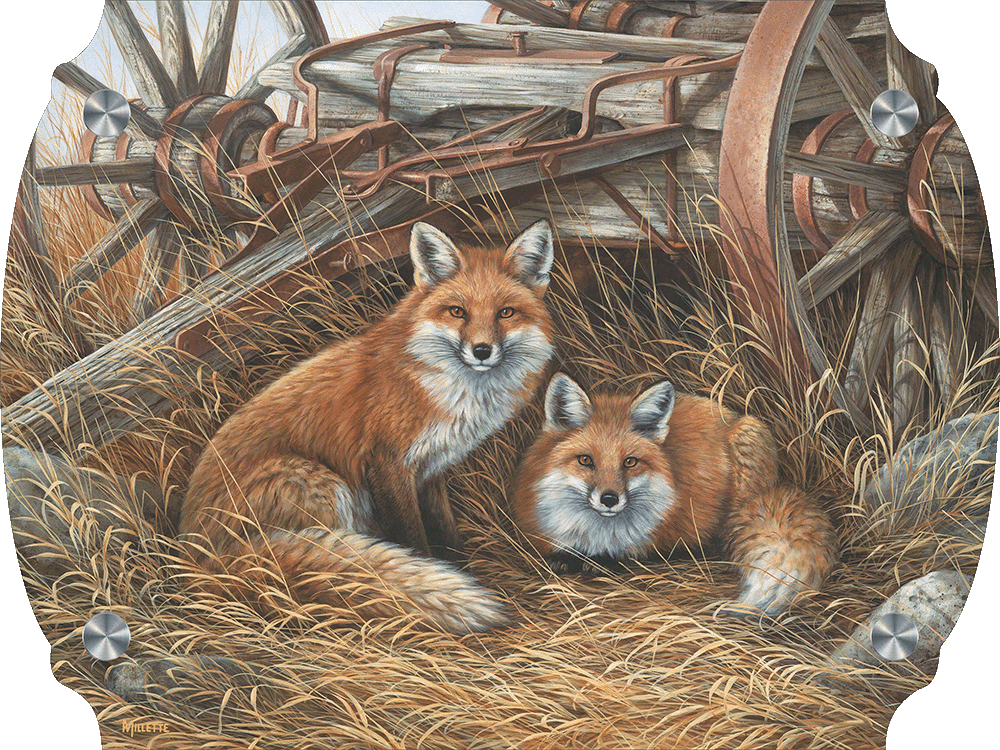 Rustic Retreat - Fox Acrylic Wall Art & Home Decor