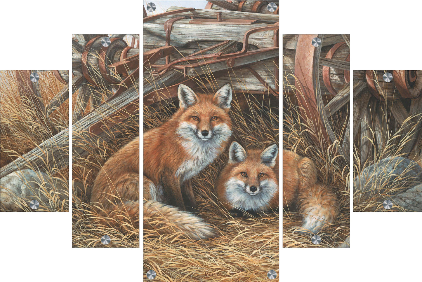 Rustic Retreat - Fox Acrylic Wall Art & Home Decor