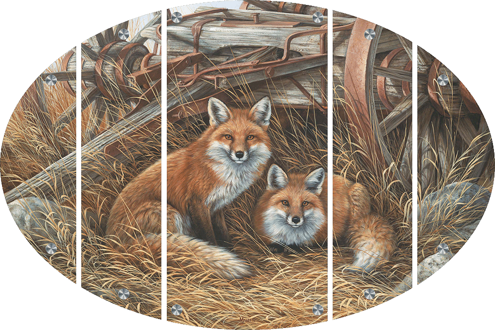 Rustic Retreat - Fox Acrylic Wall Art & Home Decor