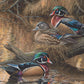 Sitting Pretty - Wood Ducks Acrylic Wall Art & Home Decor