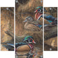 Sitting Pretty - Wood Ducks Acrylic Wall Art & Home Decor