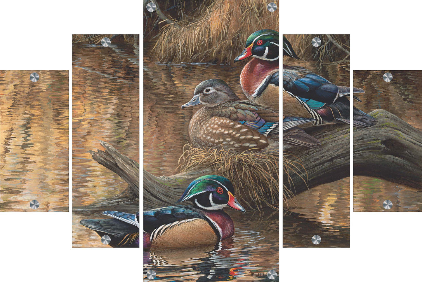 Sitting Pretty - Wood Ducks Acrylic Wall Art & Home Decor