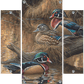 Sitting Pretty - Wood Ducks Acrylic Wall Art & Home Decor