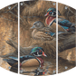 Sitting Pretty - Wood Ducks Acrylic Wall Art & Home Decor