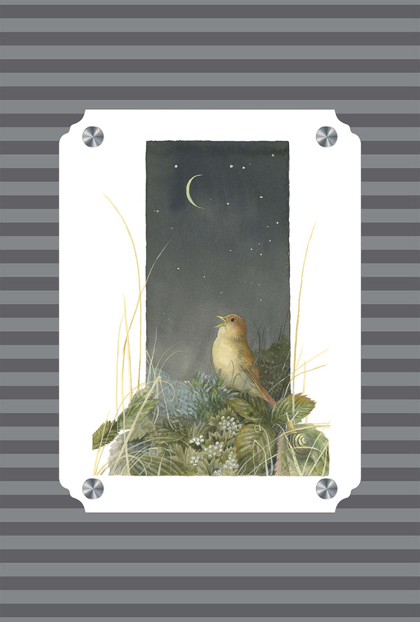 Song of the Nightingale Acrylic Wall Art & Home Decor