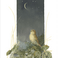 Song of the Nightingale Acrylic Wall Art & Home Decor