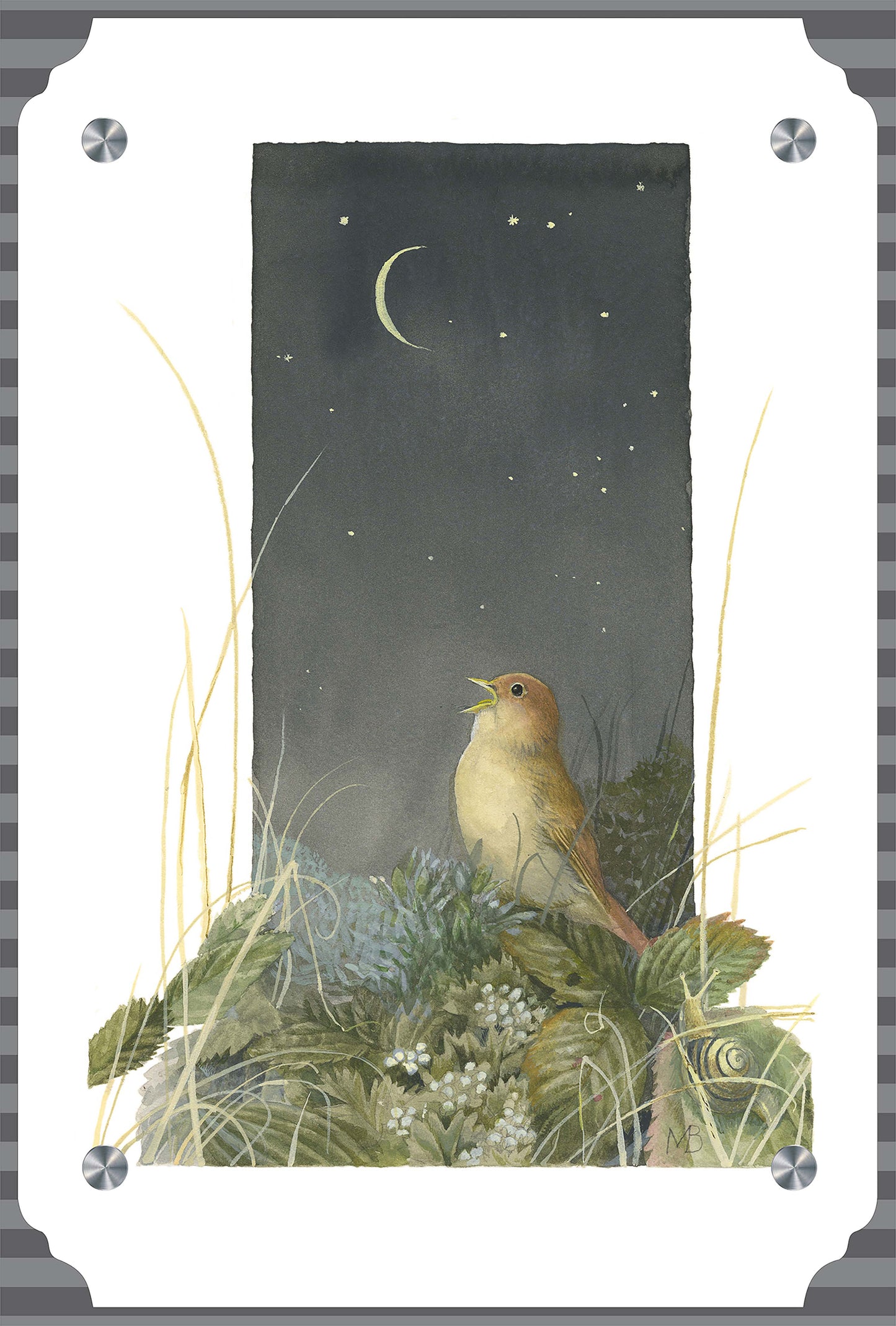 Song of the Nightingale Acrylic Wall Art & Home Decor