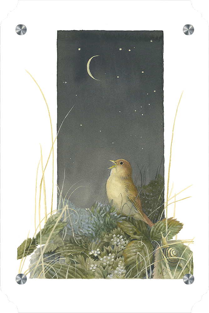 Song of the Nightingale Acrylic Wall Art & Home Decor
