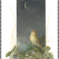 Song of the Nightingale Acrylic Wall Art & Home Decor