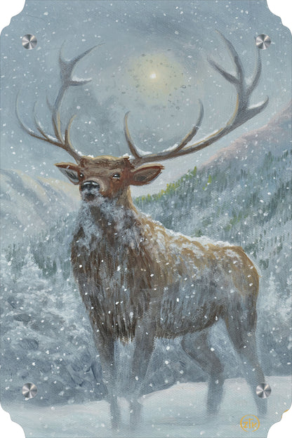 Spirit of the North Acrylic Wall Art & Home Decor