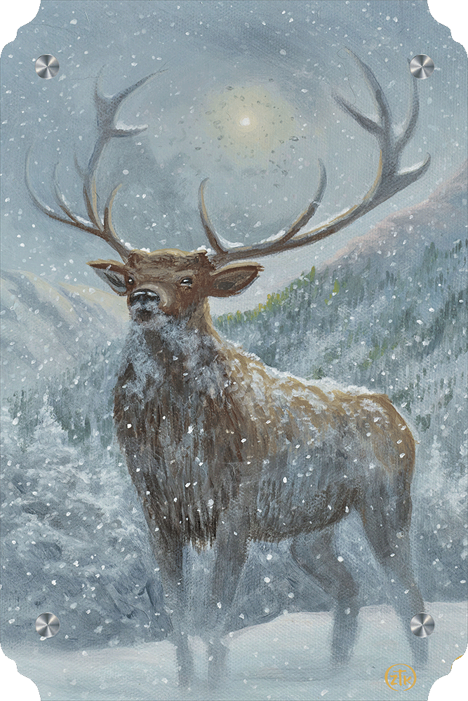 Spirit of the North Acrylic Wall Art & Home Decor