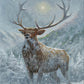 Spirit of the North Acrylic Wall Art & Home Decor