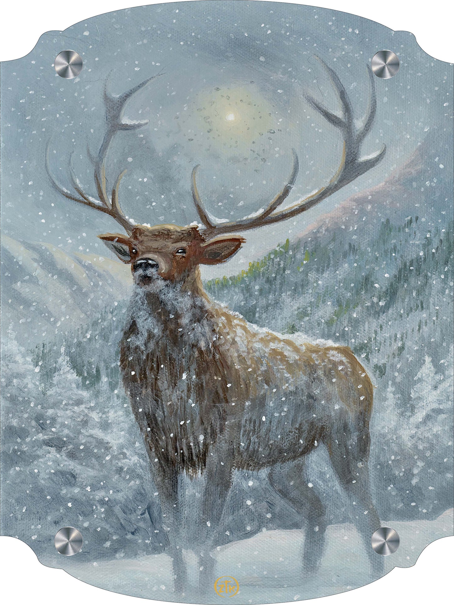 Spirit of the North Acrylic Wall Art & Home Decor