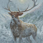Spirit of the North Acrylic Wall Art & Home Decor