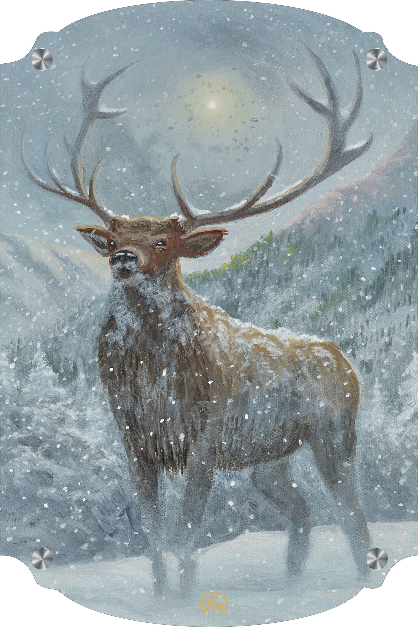 Spirit of the North Acrylic Wall Art & Home Decor