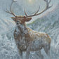 Spirit of the North Acrylic Wall Art & Home Decor