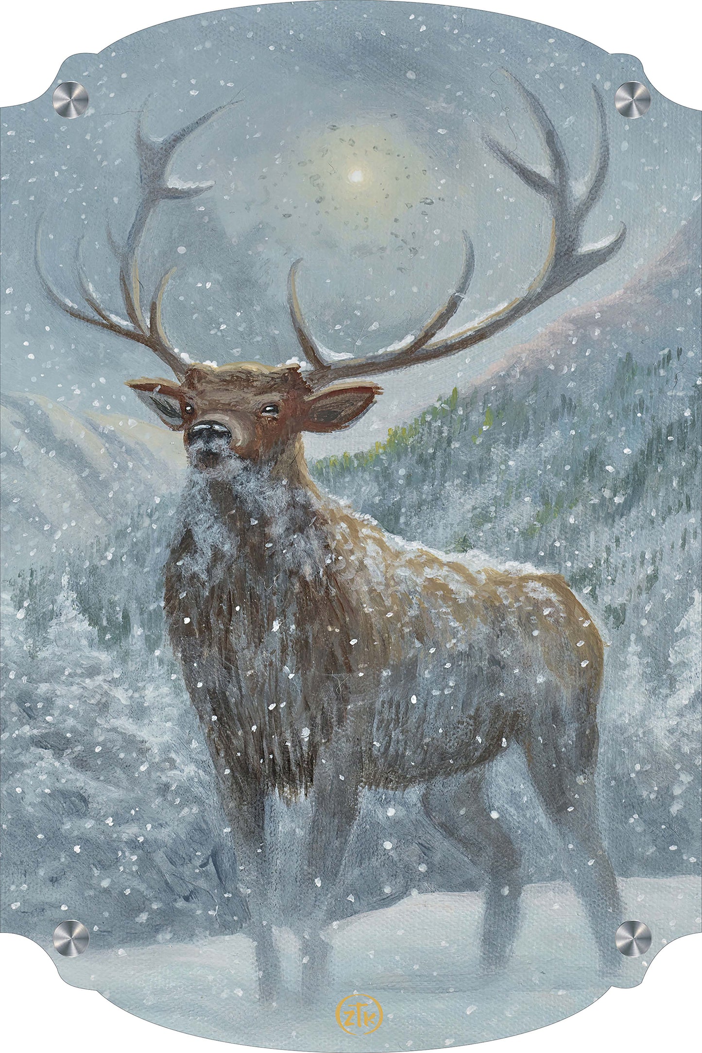Spirit of the North Acrylic Wall Art & Home Decor