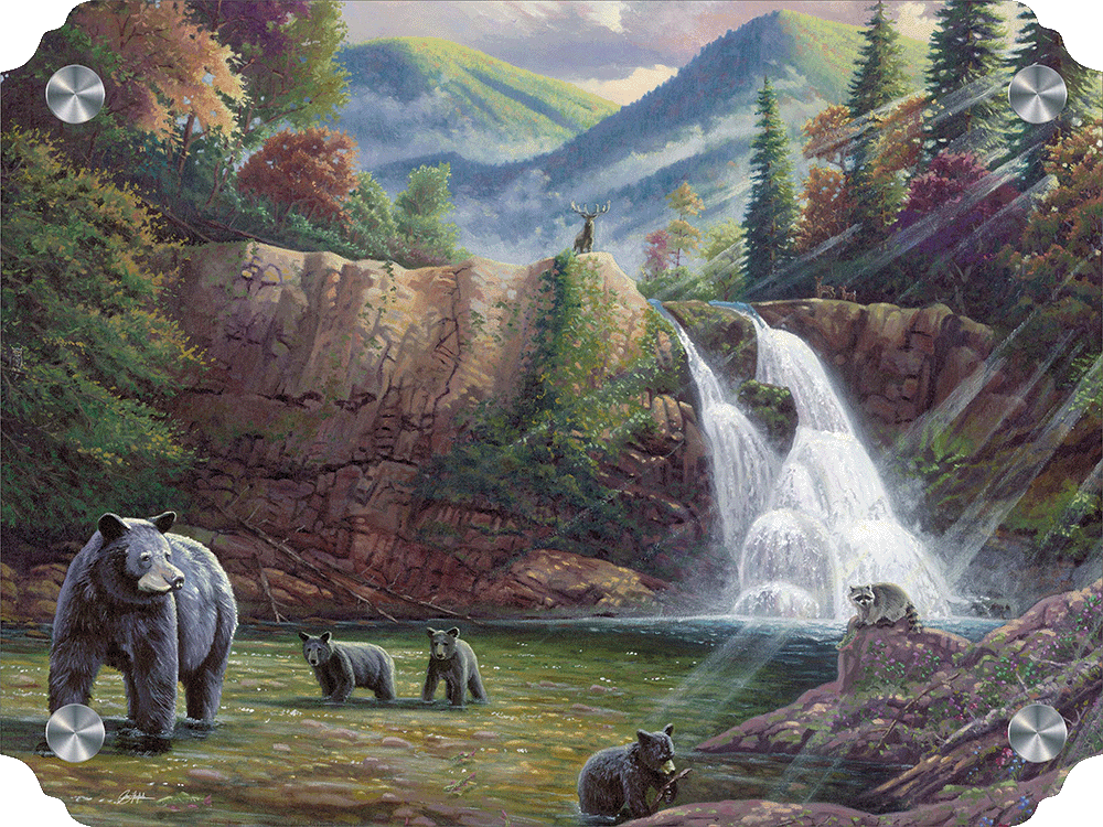 Spirit of the Smokies Acrylic Wall Art & Home Decor
