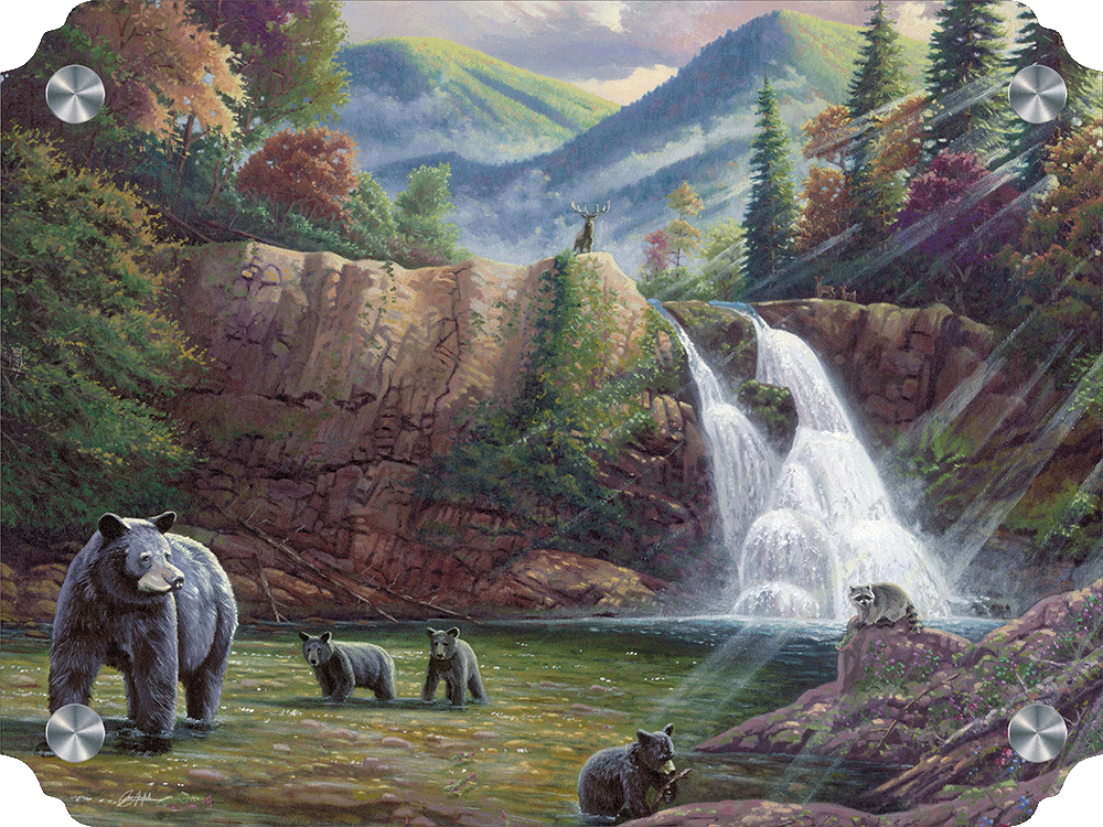 Spirit of the Smokies Acrylic Wall Art & Home Decor
