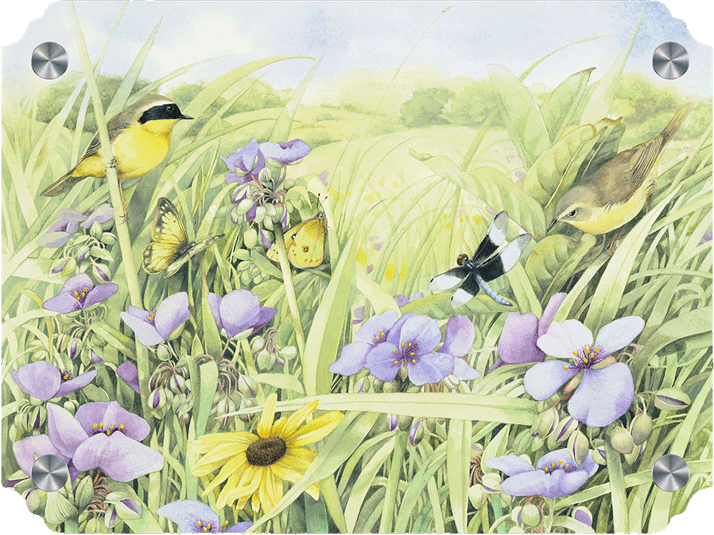 Summer Abundance Acrylic Wall Art & Home Decor